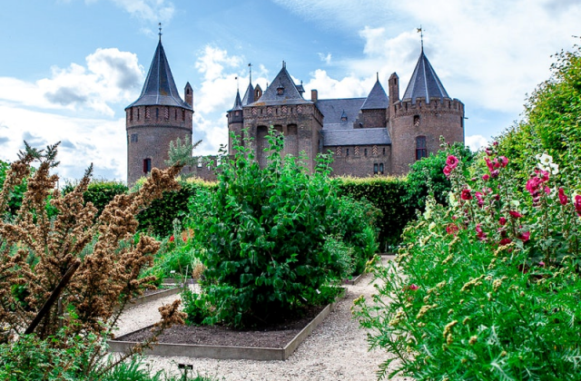 activity_detail_image