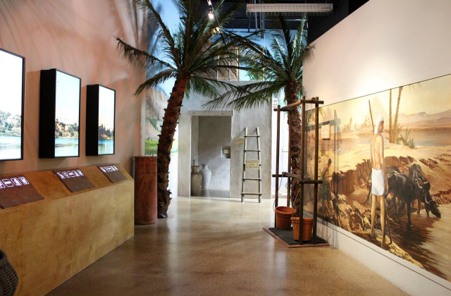 activity_detail_image