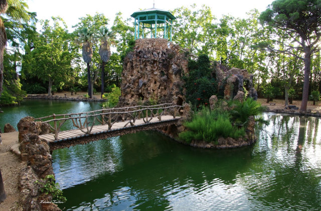 activity_detail_image