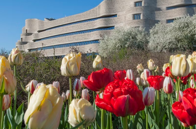 activity_detail_image