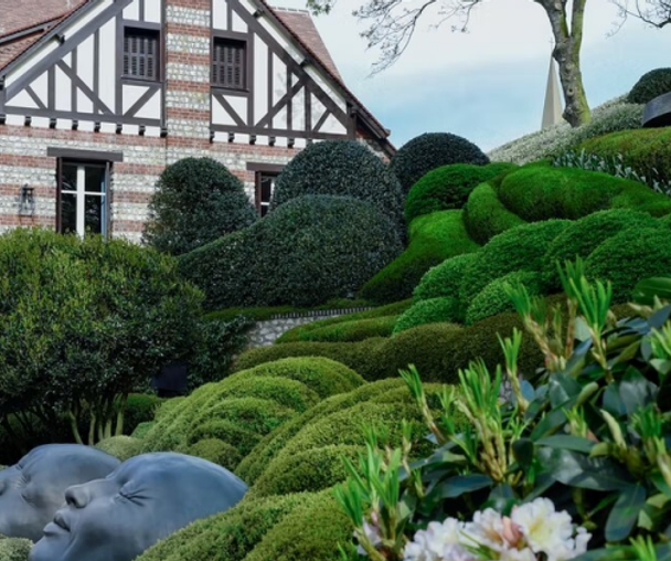 activity_detail_image