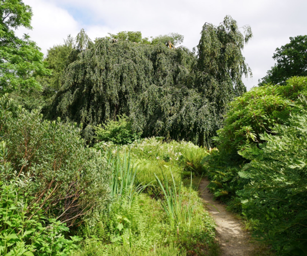 activity_detail_image