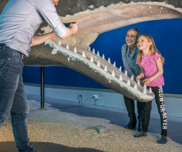 activity_detail_image