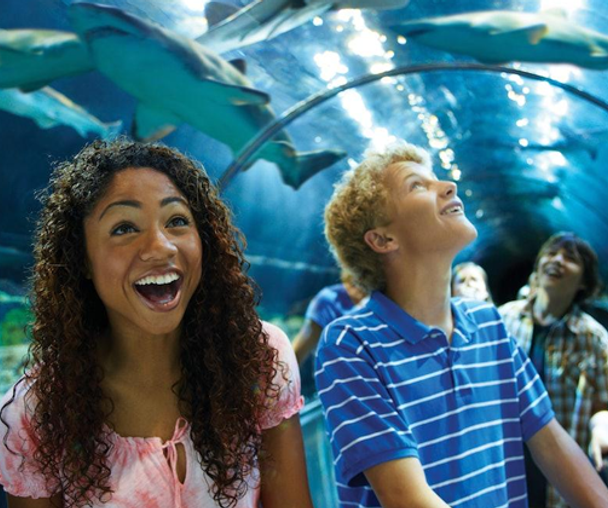 activity_detail_image