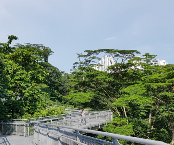 activity_detail_image