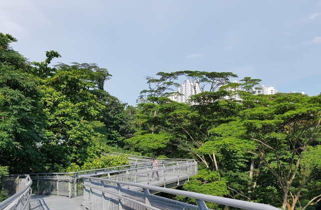 싱가포르의 자연과 역사를 만나는 에코 산책 투어 (한국어 가이드)