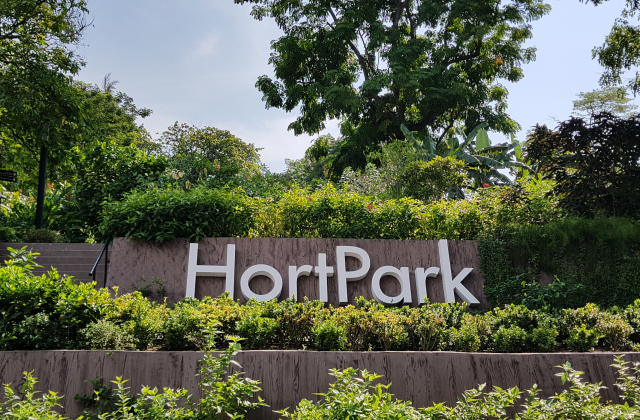 싱가포르의 자연과 역사를 만나는 에코 산책 투어 (한국어 가이드)