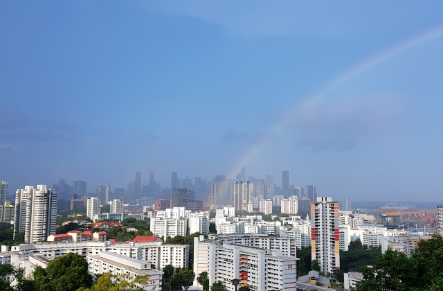 싱가포르의 자연과 역사를 만나는 에코 산책 투어 (한국어 가이드)