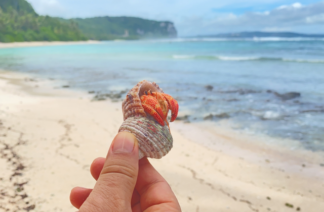 괌 버섯바위 둘레길 트래킹 투어 (WAUG Originals)