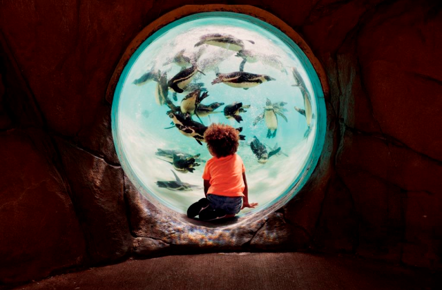 ゴーシティ®ロンドンエクスプローラーパス