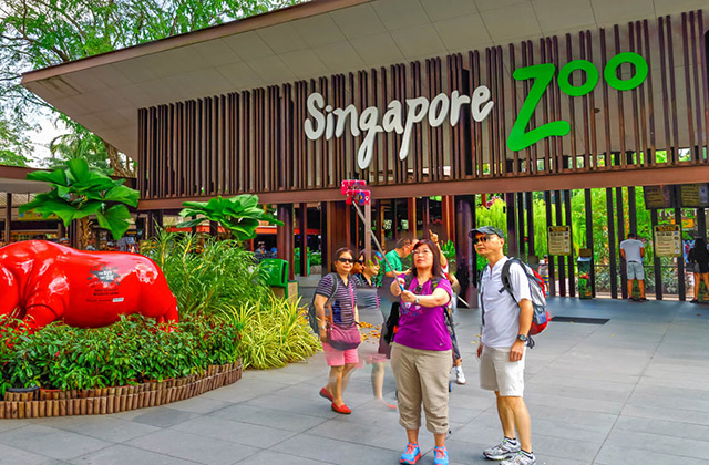 만다이 야생동물 보호구역 멀티파크 티켓: 나이트 사파리, 싱가포르 동물원, 리버원더스, 버드파라다이스, 레인포레스트 와일드 아시아