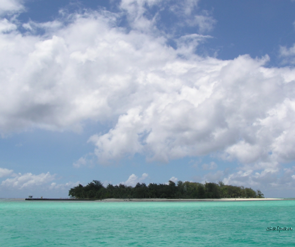 activity_detail_image