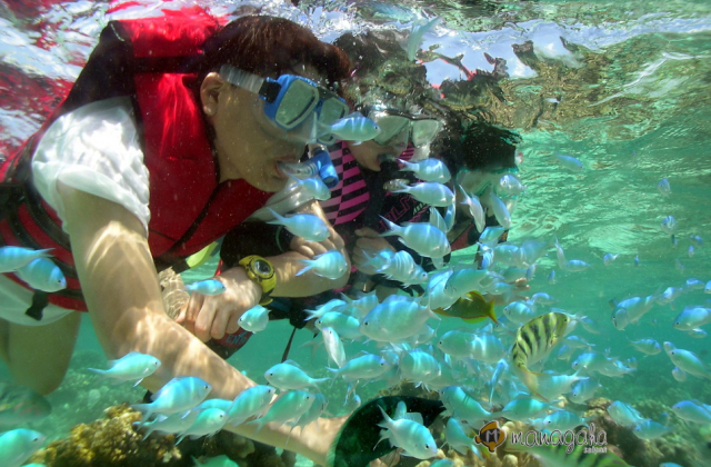 사이판 마나가하섬 해양 스포츠 & 그로토 동굴 스노클링 투어