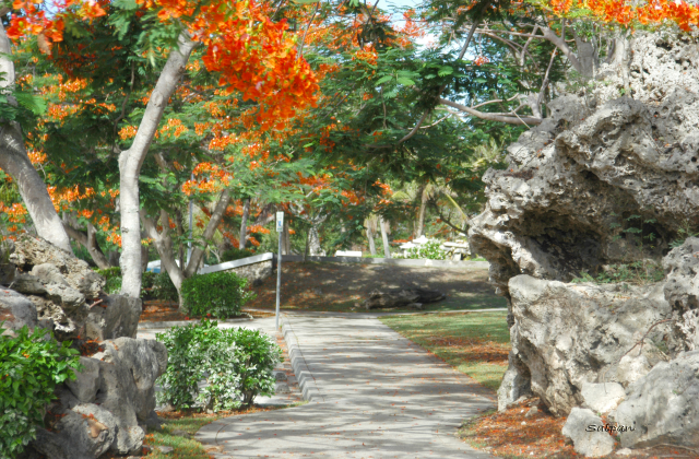 사이판 감성 북부투어