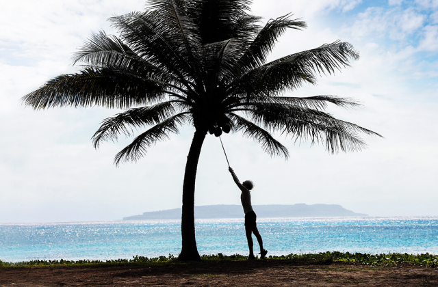 사이판 이웃섬, 티니안 일일 투어