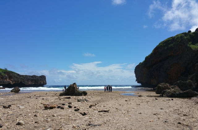 사이판 4WD 오프로드 정글 탐험 투어