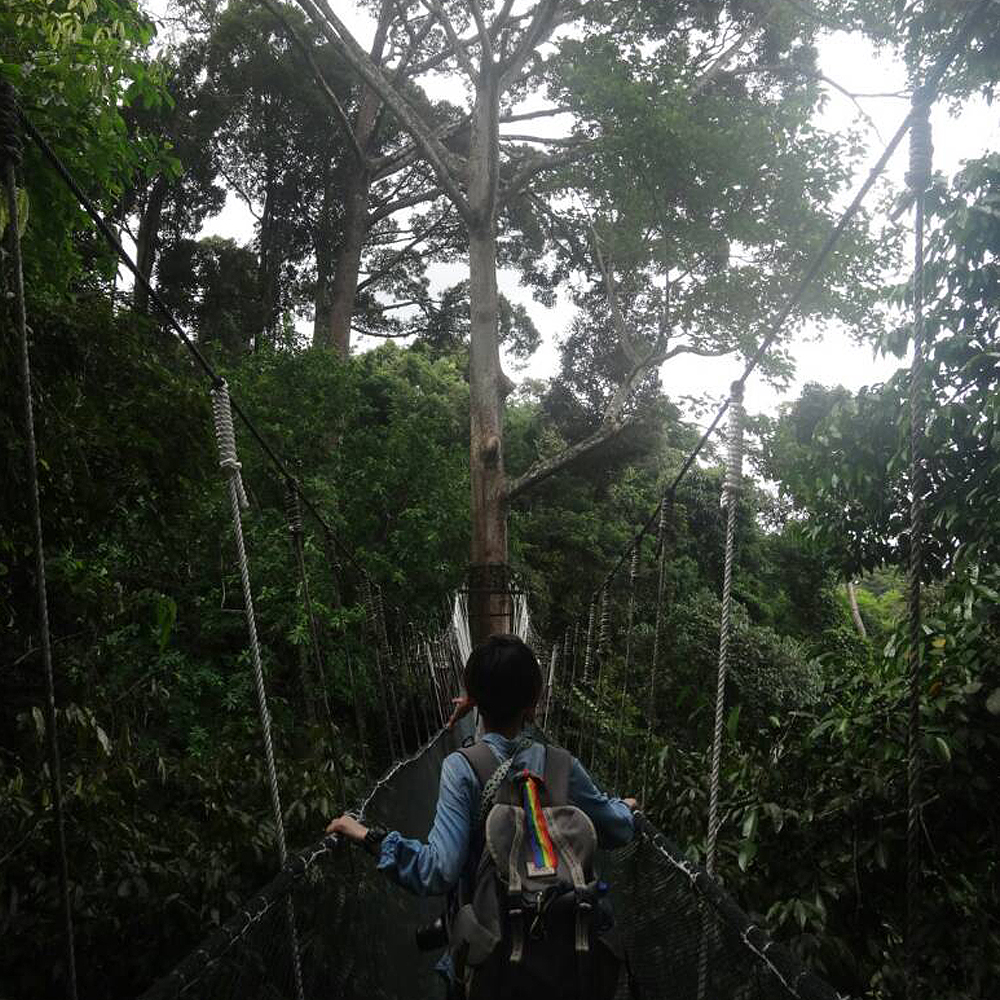 코타키나발루 키나발루 산 & 포링 온천 투어