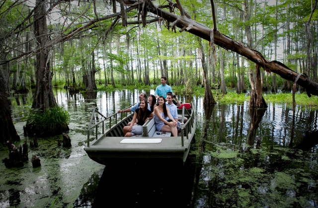 고 시티® 뉴올리언스 올 인클루시브 패스