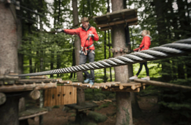 activity_detail_image