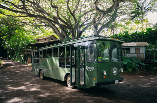 고 시티® 하와이 오아후 올 인클루시브 패스