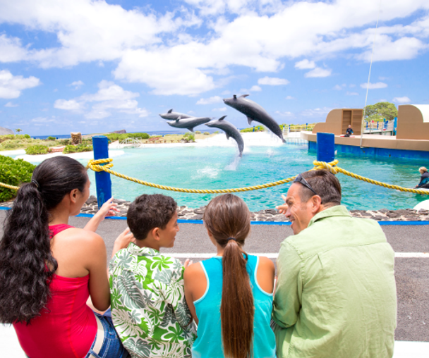 activity_detail_image