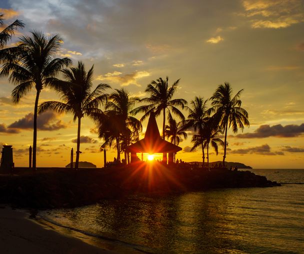 activity_detail_image