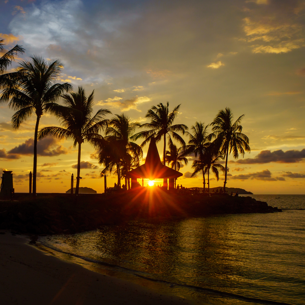코타키나발루 탄중아루 비치 산호섬 선셋 패들보드 투어 (픽업 포함)
