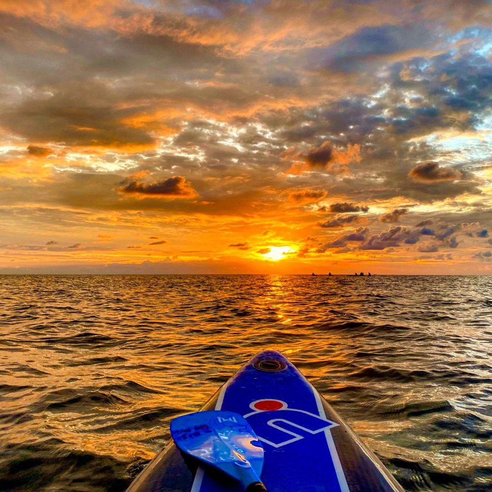 코타키나발루 탄중아루 비치 산호섬 선셋 패들보드 투어 (픽업 포함)