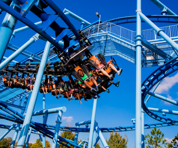 activity_detail_image