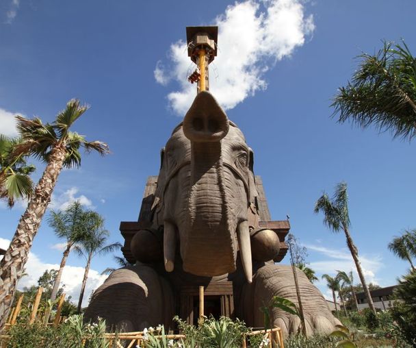 activity_detail_image