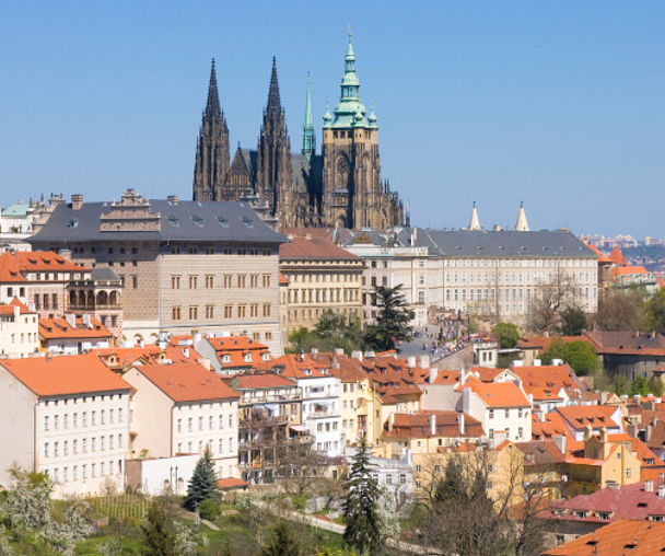 activity_detail_image