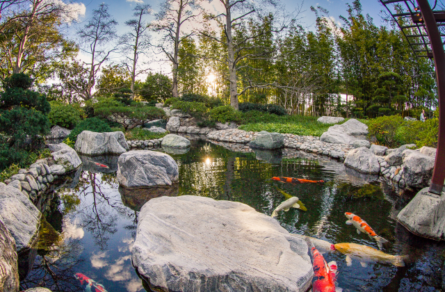 activity_detail_image