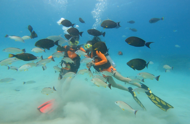 [독점할인] 괌 맥제이 MACJAY 체험 스쿠버 다이빙