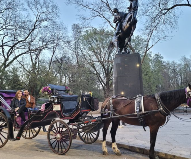 activity_detail_image