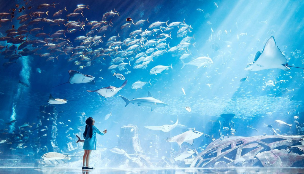 Dubai Lost World Aquarium Ticket