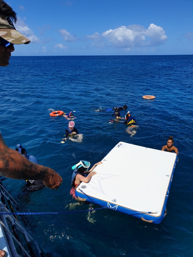 괌 K 돌핀크루즈 투어