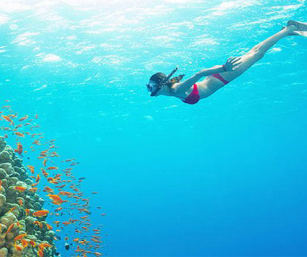 activity_detail_image