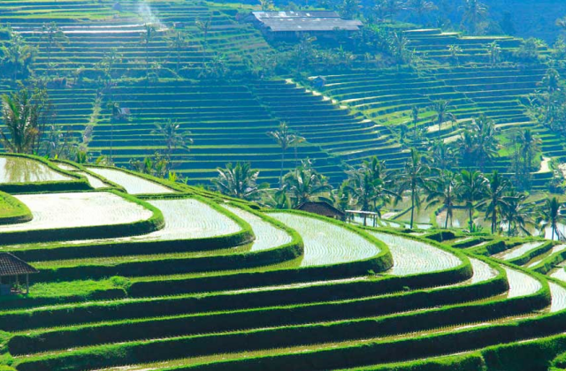 Bali: Mystical Bedugul & Tanah Lot Temple Sunset Tour