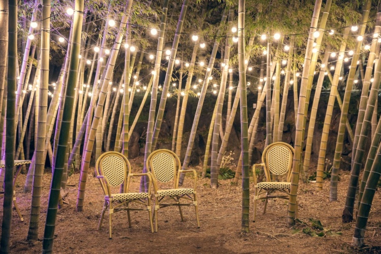 제주 '트립이즈마인' 동부 프리미엄 버스 투어