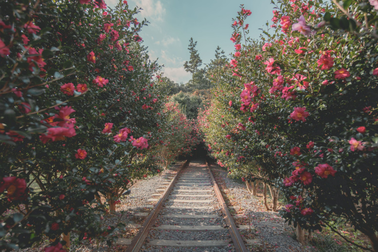 제주 '트립이즈마인' 동부 프리미엄 버스 투어