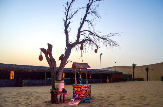 Abu Dhabi: Desert Safari (Afternoon, Essential Course)