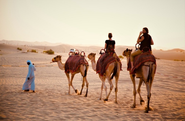 Abu Dhabi: Desert Safari (Afternoon, Essential Course)