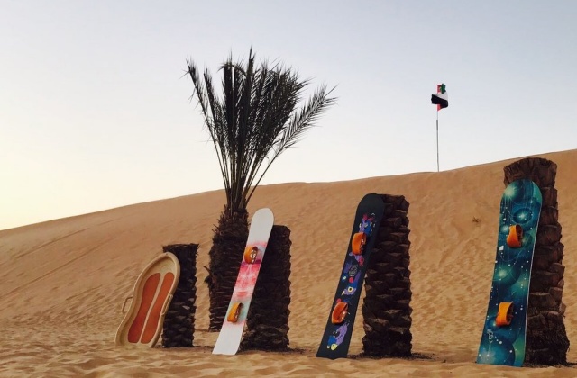 Abu Dhabi: Desert Safari (Afternoon, Essential Course)
