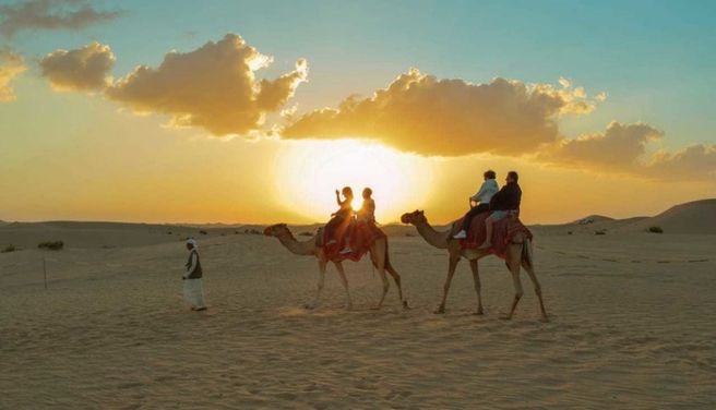 Abu Dhabi: Desert Safari (Afternoon, Essential Course)