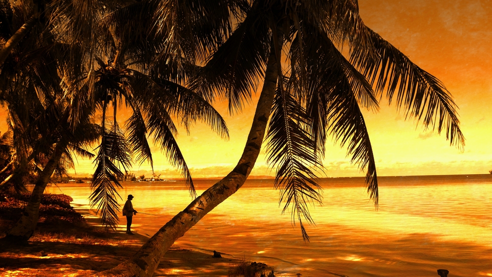 코타키나발루 봉가완 프리미엄 반딧불 투어