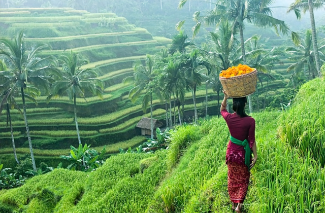 Bali: Customized Private Day Tour