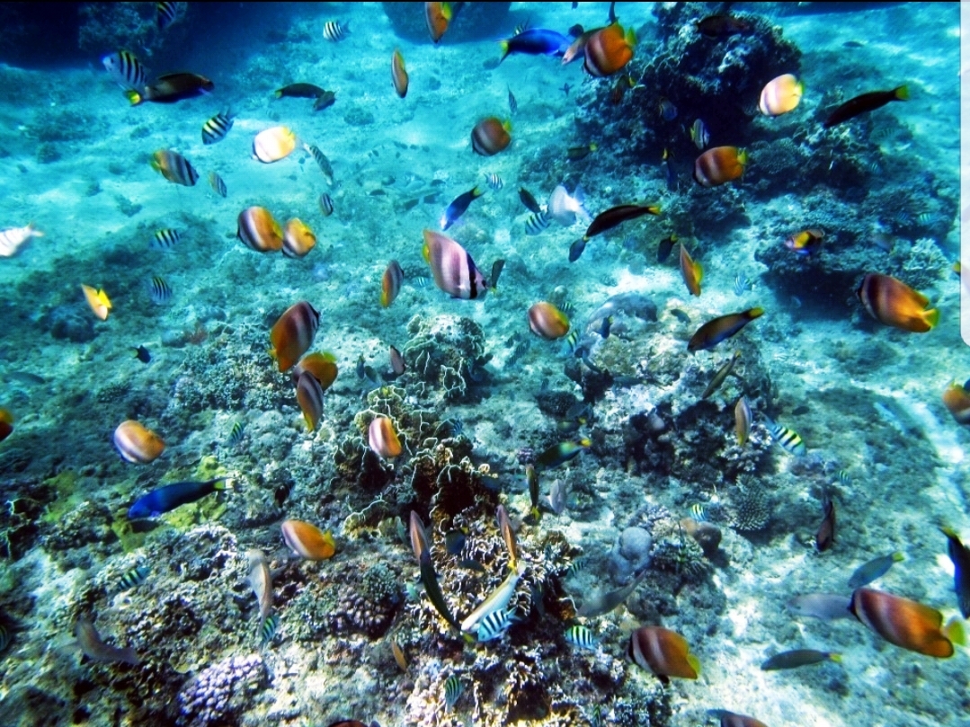 Boracay: Eco Yacht Hopping Tour