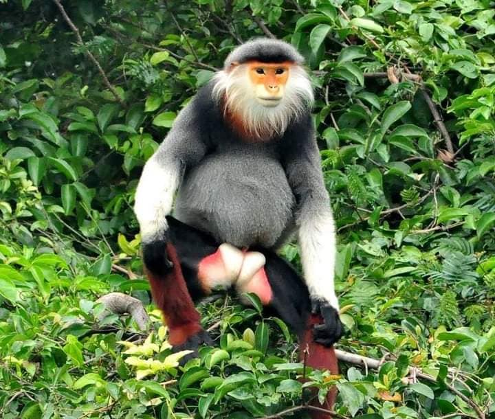 다낭 인스타그램 포토 시티 투어