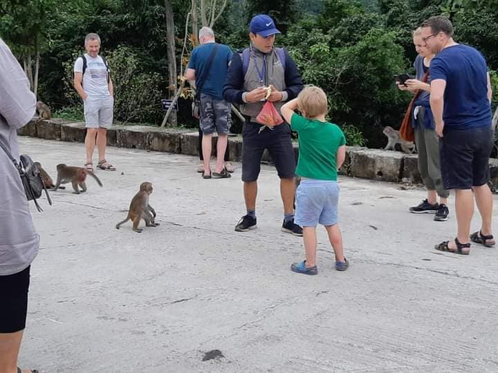 다낭 크루즈와 손트라 반도 해산물 푸드 투어 (WAUG Exclusive)