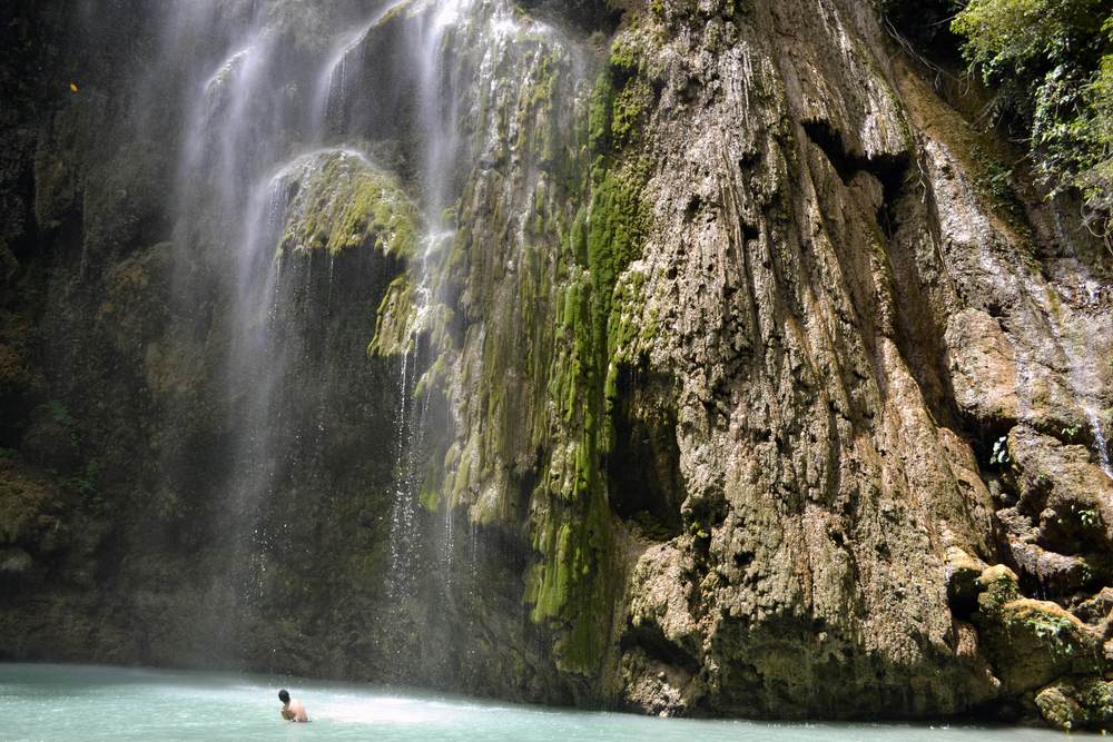세부 오슬롭 고래상어 & 투말록 폭포 단독 투어 (WAUG Originals)